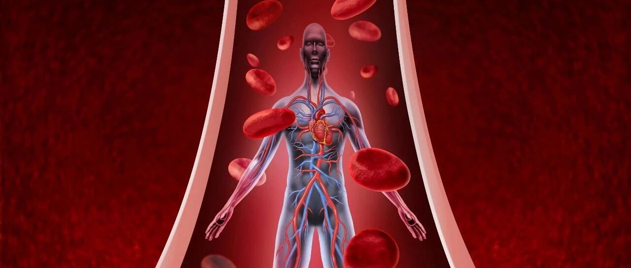 哪些人易出现动脉硬化？这些人群请注意