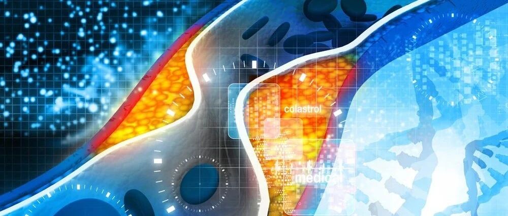 坚持这些好习惯，别让血栓“栓住”你的健康