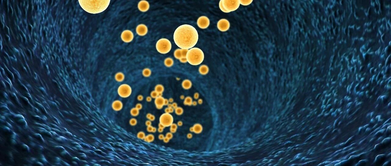 甘油三酯长期过高，容易引发心脑血管病？