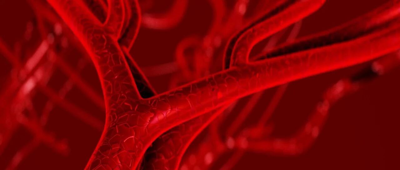 动脉硬化有哪些种类？一起来了解一下