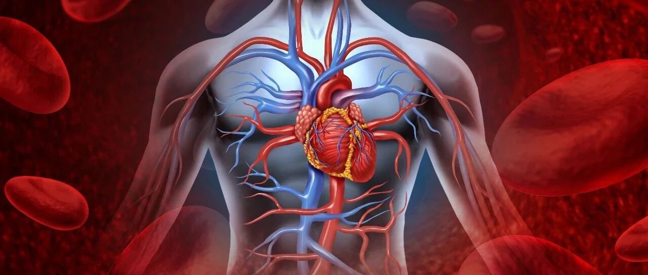 冠心病控制体重很重要？冠心病患者如何保养?