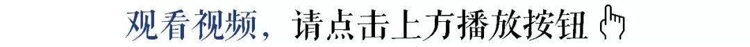 那個吃狗糧的男人，後來年入千萬 寵物 第3張