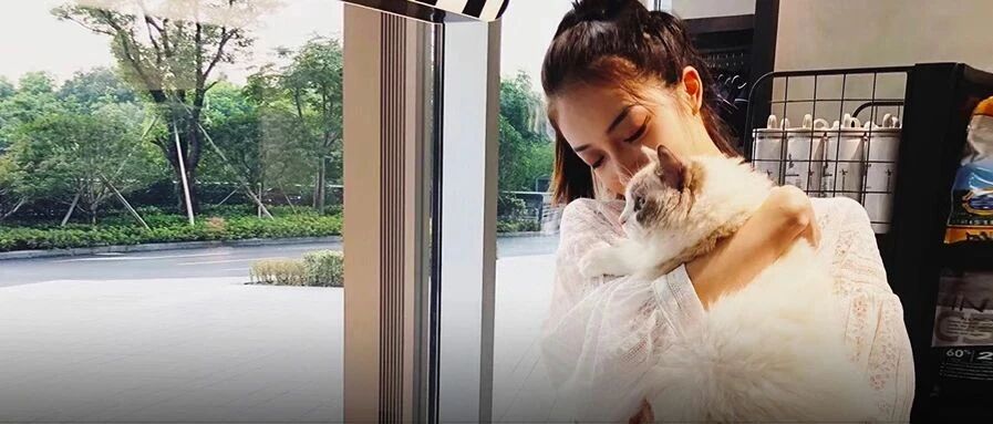 当代年轻人治愈姿势大赏