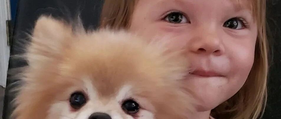 在它被安乐死的前一秒，2岁萝莉说了一句话，彻底改变了它的命运...