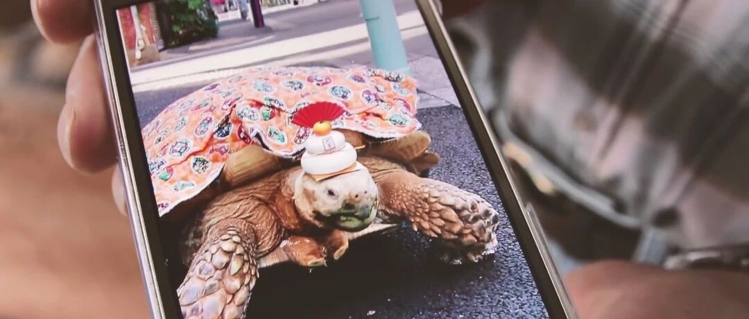 日本老人养140斤龟儿子，5分钟路程走3小时，网友：养好了能送走你……