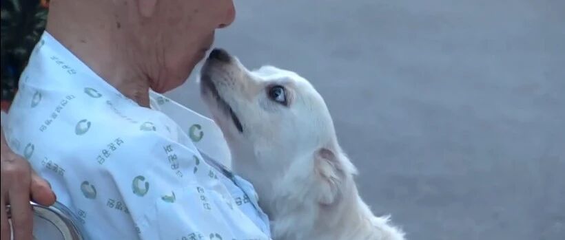 至亲去世后，700w网友都在骗他：从今以后，你要自己回家...