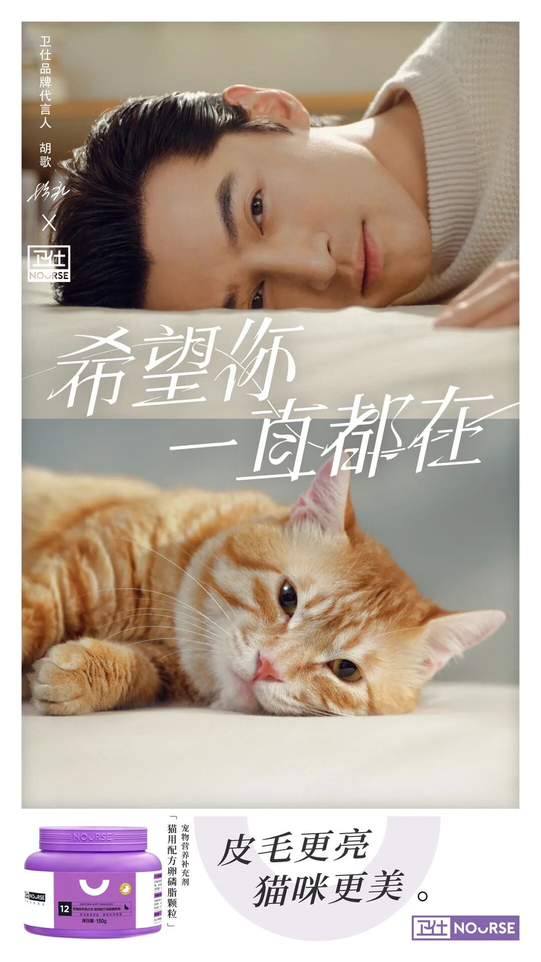 外国 名媛猫 火了 做spa 坐豪车 还抢女主人的男朋友 网友 比 顶楼 还狗血 萌宠 训练养宠技巧 宠物用品 微信头条新闻公众号文章收集网