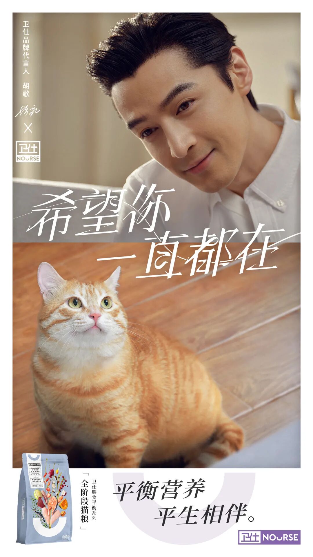 外国 名媛猫 火了 做spa 坐豪车 还抢女主人的男朋友 网友 比 顶楼 还狗血 萌宠 训练养宠技巧 宠物用品 微信头条新闻公众号文章收集网