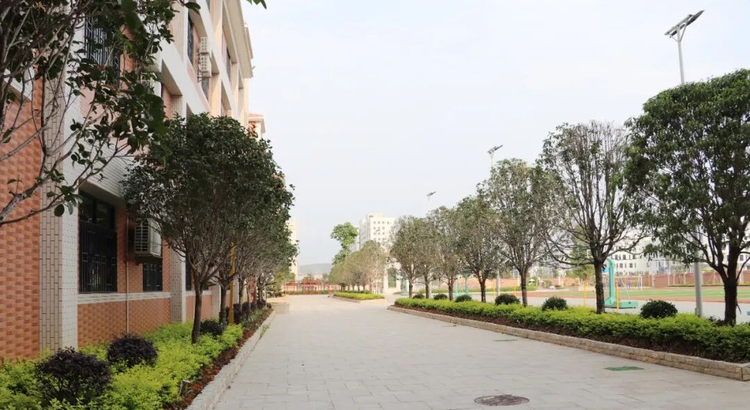 东华实验学校学生返校复课须知_企讯网