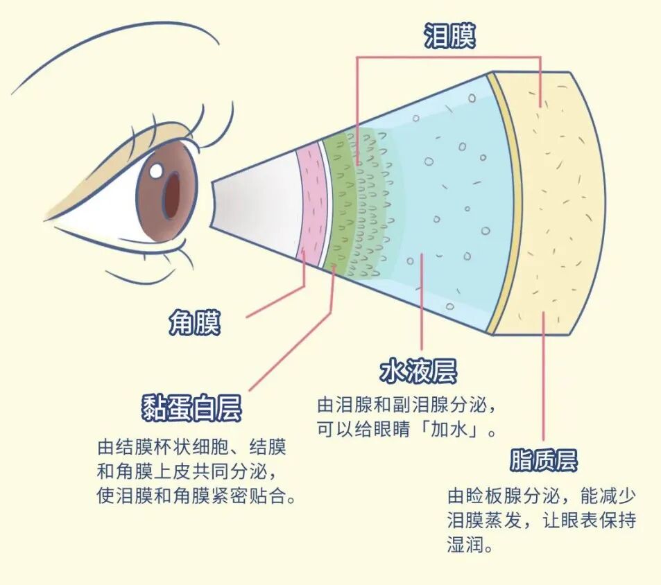 医用熏蒸有哪些牌子【健康科普】干眼症的“克星”——医用干眼超声雾化熏蒸仪！_https://www.jmylbn.com_新闻资讯_第2张