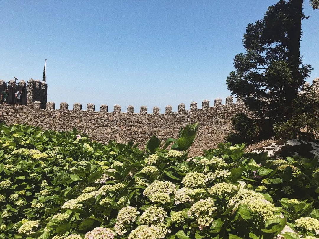 旅行 | 歐洲自由行攻略2 · 德國和葡萄牙怎麼玩