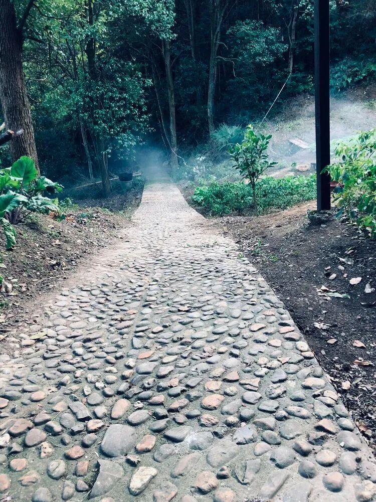 禅修丨湘西大兴禅寺7月内观禅修报名通启