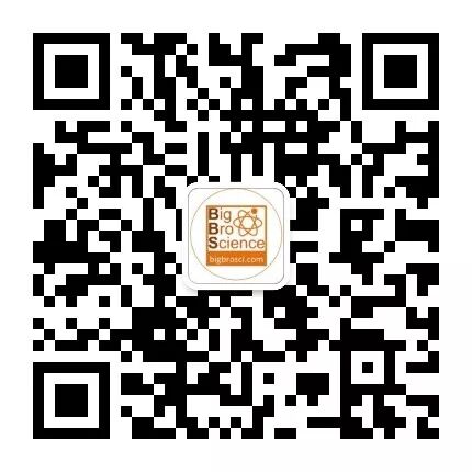 常用的数据库总结