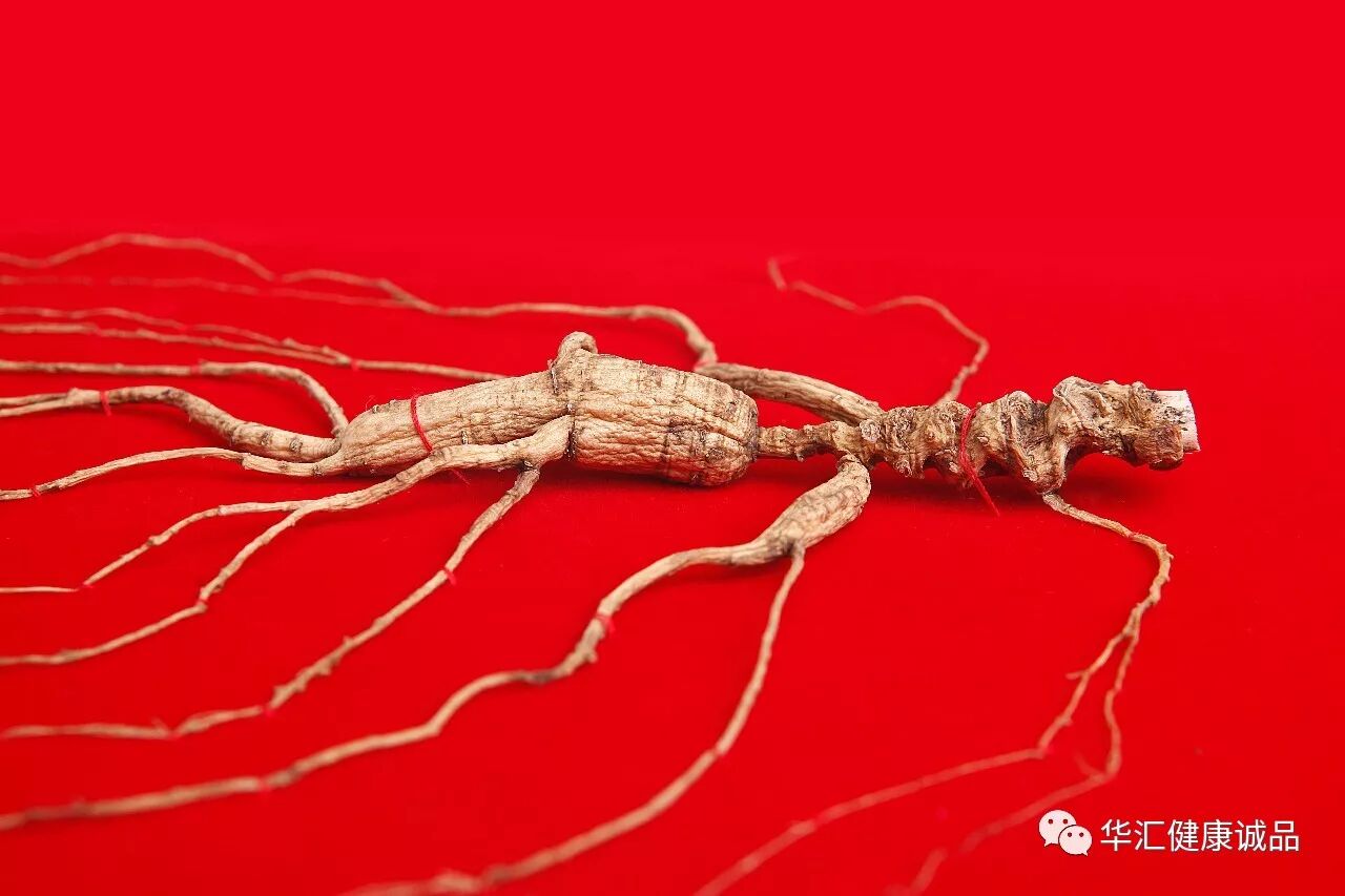 参知识丨人参是防病的特效中药