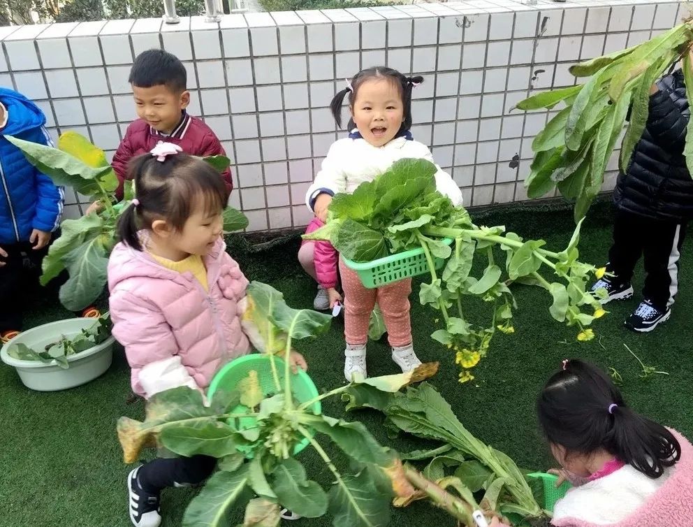 幼儿经验心得_心得经验幼儿园怎么写_幼儿的心得体会简单写