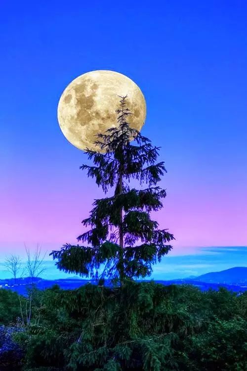 看世界上最美的月亮! - 艺术考级网