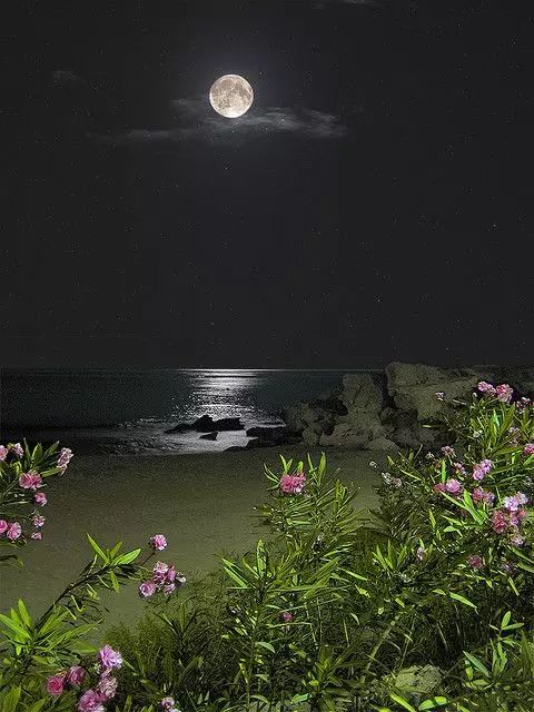 中秋节!看世界上最美的月亮!