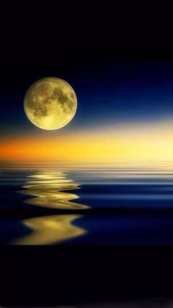 明月几时有?把酒问青天如果本条内容侵害了您的权益,请联系我们删除.