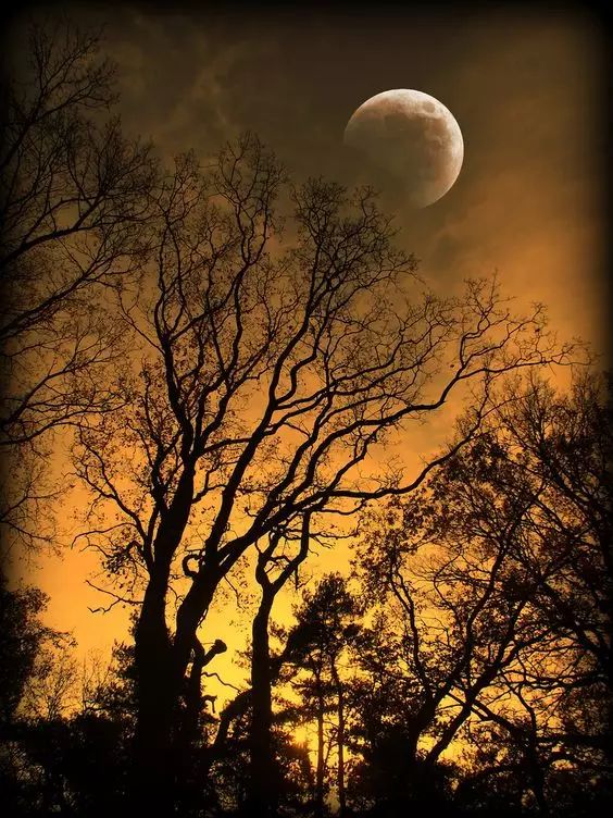 看世界上最美的月亮!