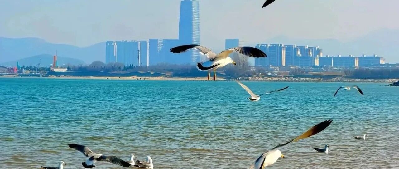 幸福不在远方，就在眼中景、碗中餐、身边人