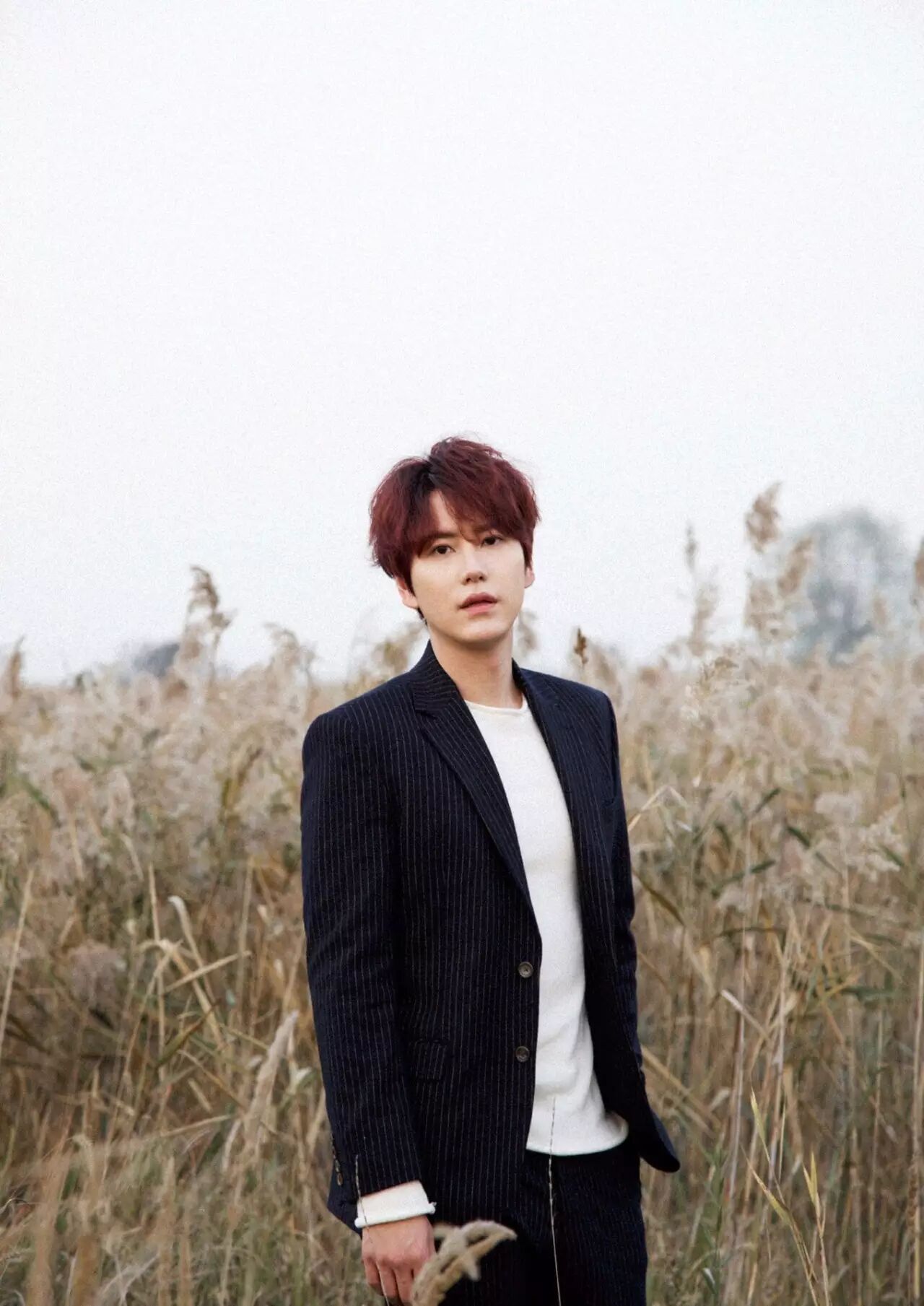 曹圭贤车祸邪恶黑腹毒辣的忙碌贵县其实是一个秋人