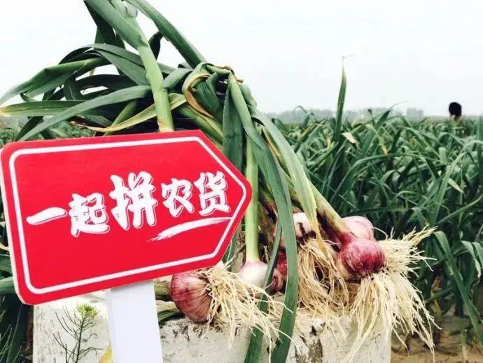 阿里巴巴印刷包裝_印刷與包裝防偽技術_藝術研究雜志和中國印刷與包裝研究雜志比較哪個好