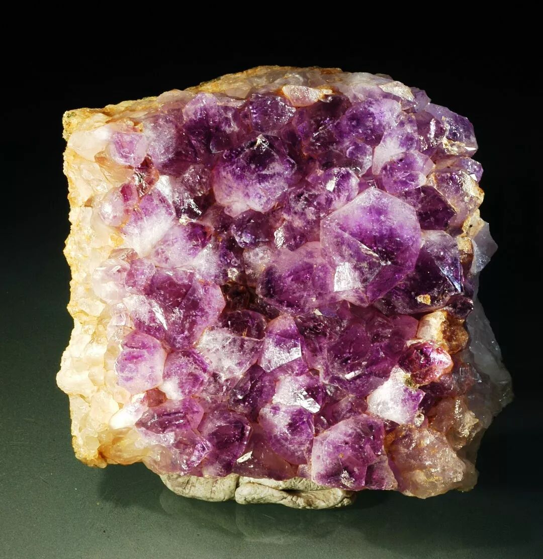 北京人,元谋人,山顶洞人等著名古人类化石,以及大量集科学价值与观赏