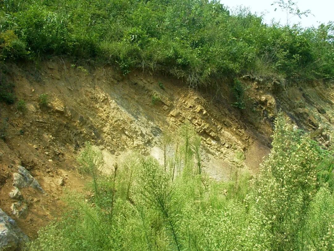 中國16大地質實習基地，向曾經的那些日子致敬！的圖52