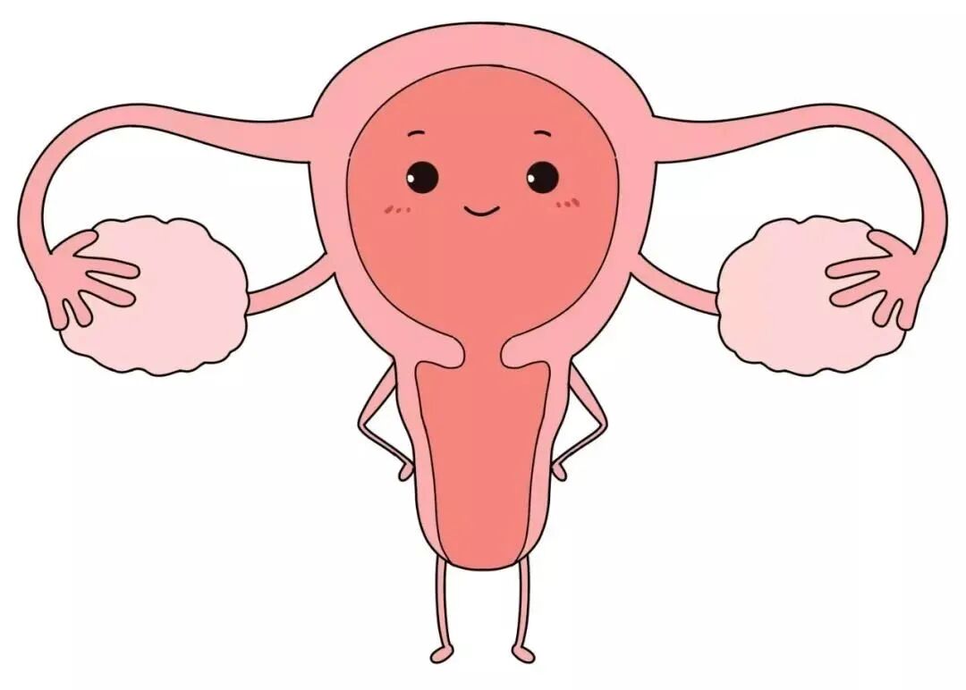 康复仪探头怎么拿一文读懂，如何正确使用盆底肌肉康复器_https://www.jmylbn.com_新闻资讯_第4张