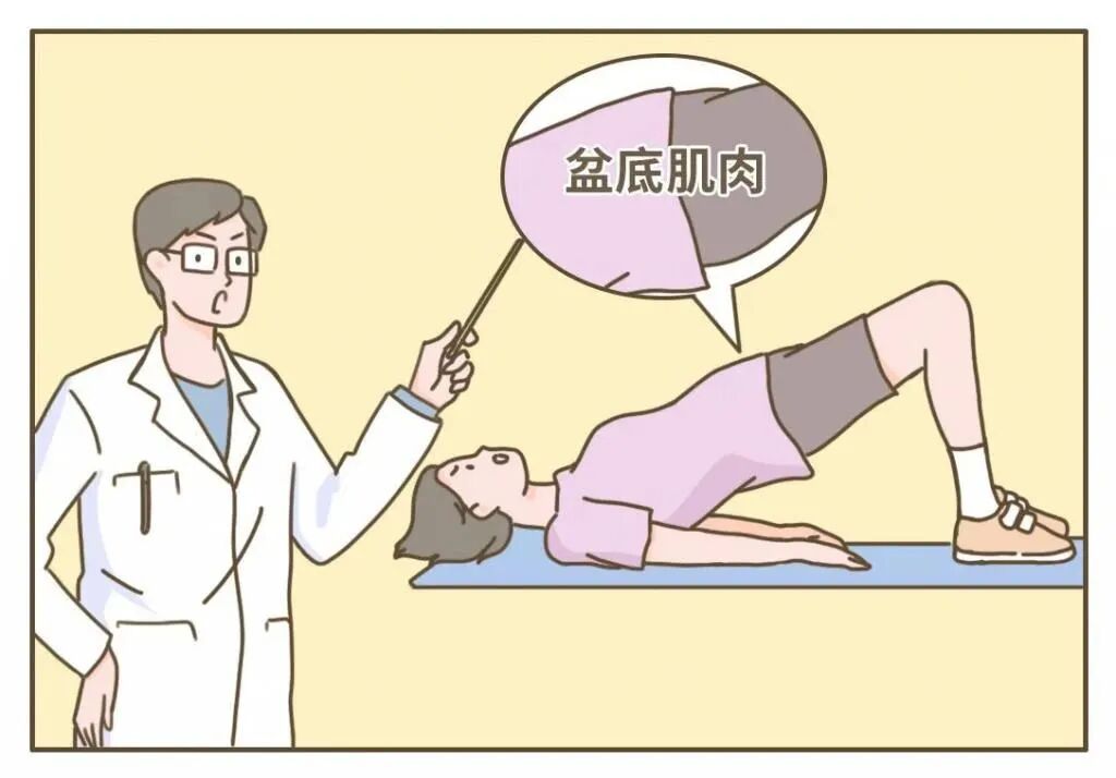 康复仪探头怎么拿一文读懂，如何正确使用盆底肌肉康复器_https://www.jmylbn.com_新闻资讯_第8张