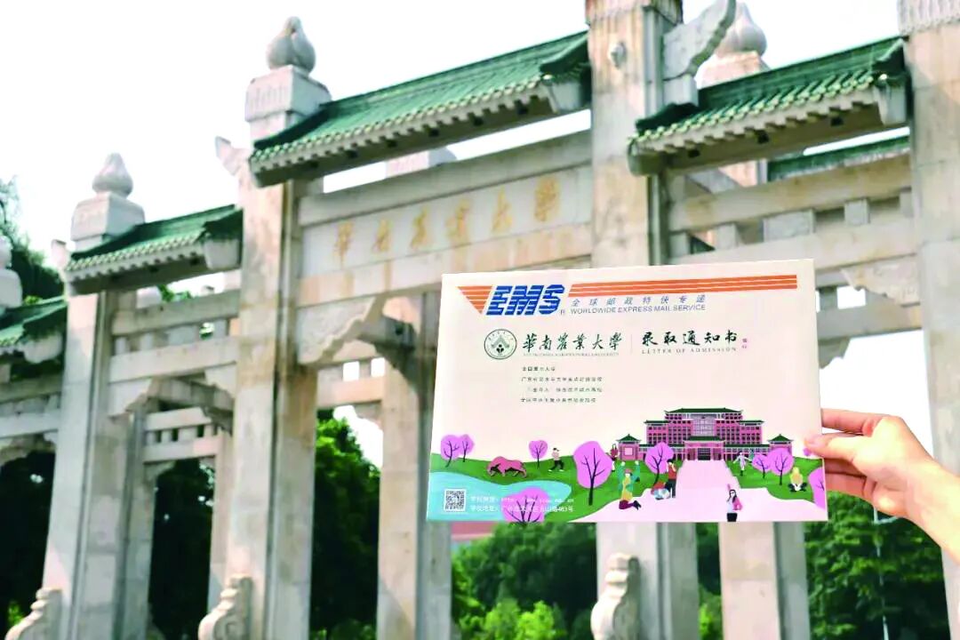 ��Ļ��ͼ 2025-08-11 214439.png