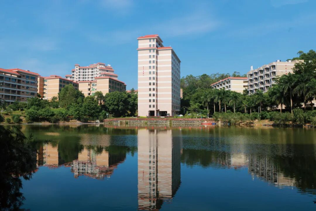 ��Ļ��ͼ 2025-08-11 214034.png