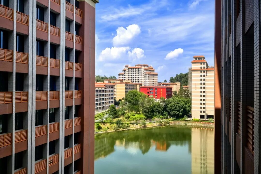 ��Ļ��ͼ 2025-08-08 232610.png