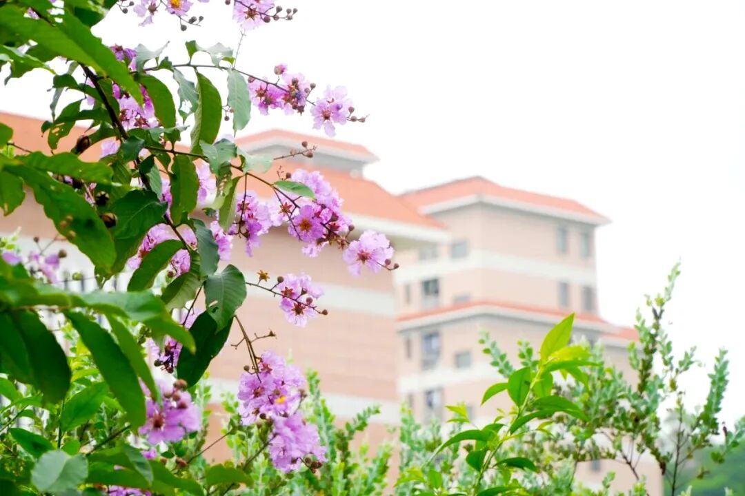 ��Ļ��ͼ 2025-08-11 205918.png