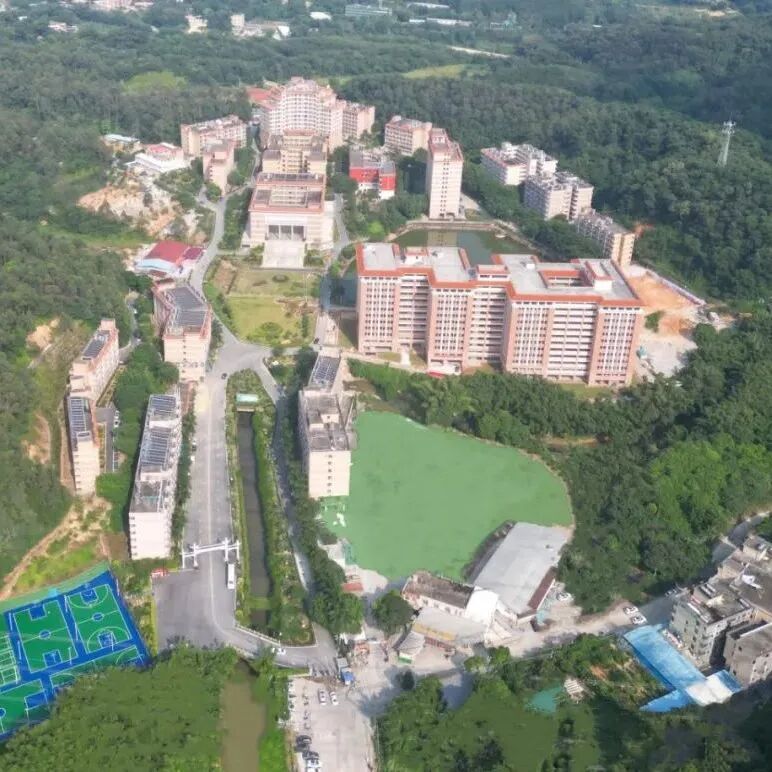 ��Ļ��ͼ 2025-08-11 210159.png