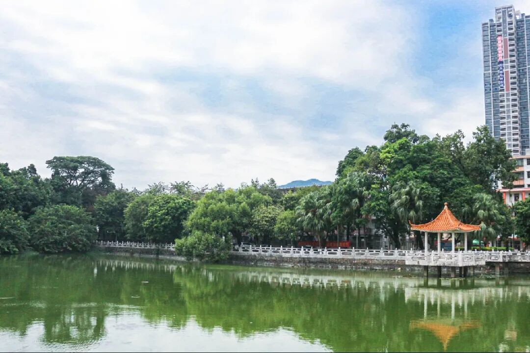 51岁生日快乐我的肇庆学院