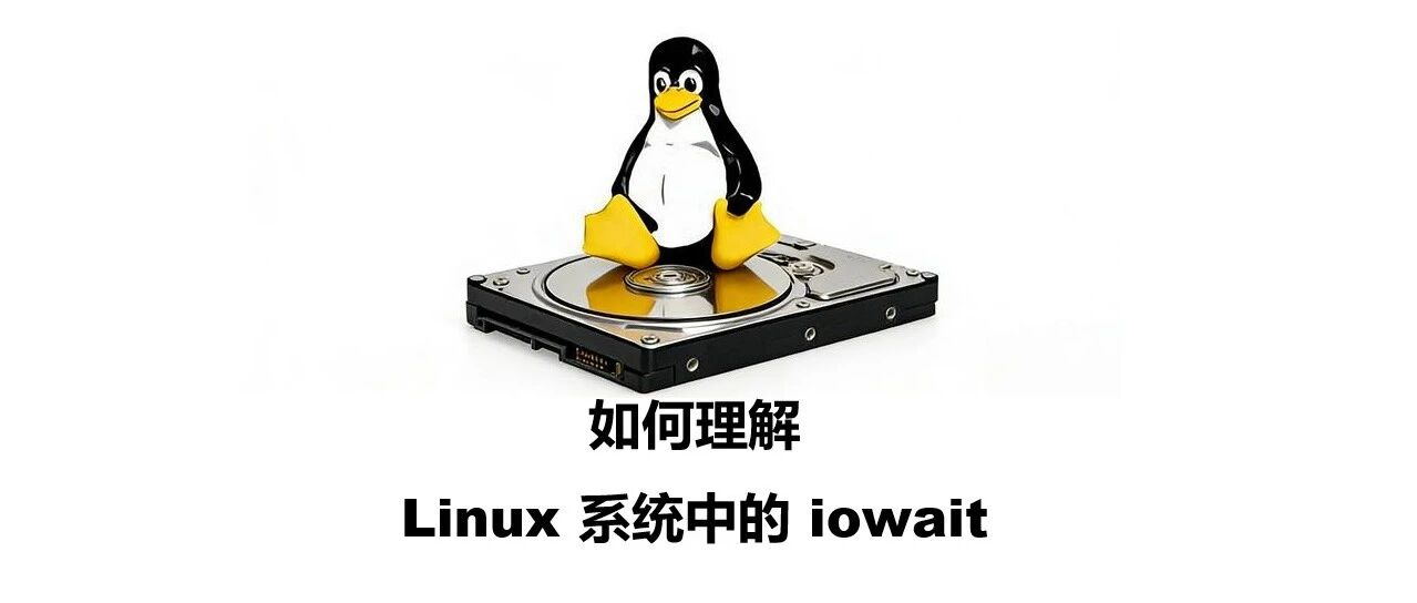 cover_image
