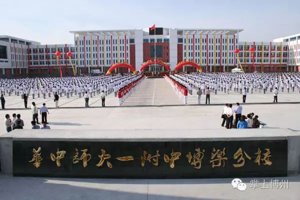 對不起!博爾塔拉,向全國人民道歉!