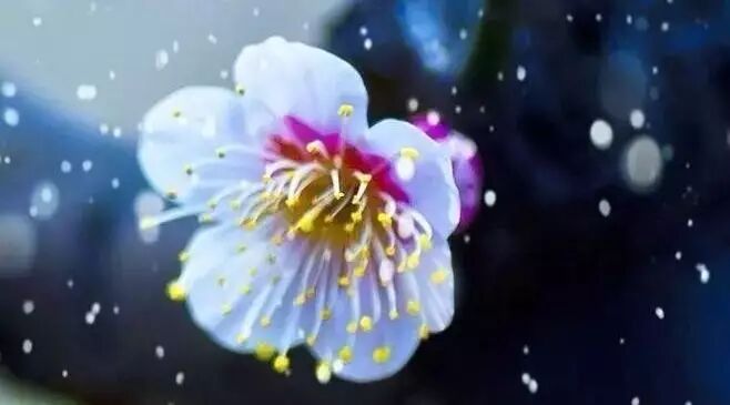 你的孩子教育如果单靠老师，那就真的是耽误孩子了！