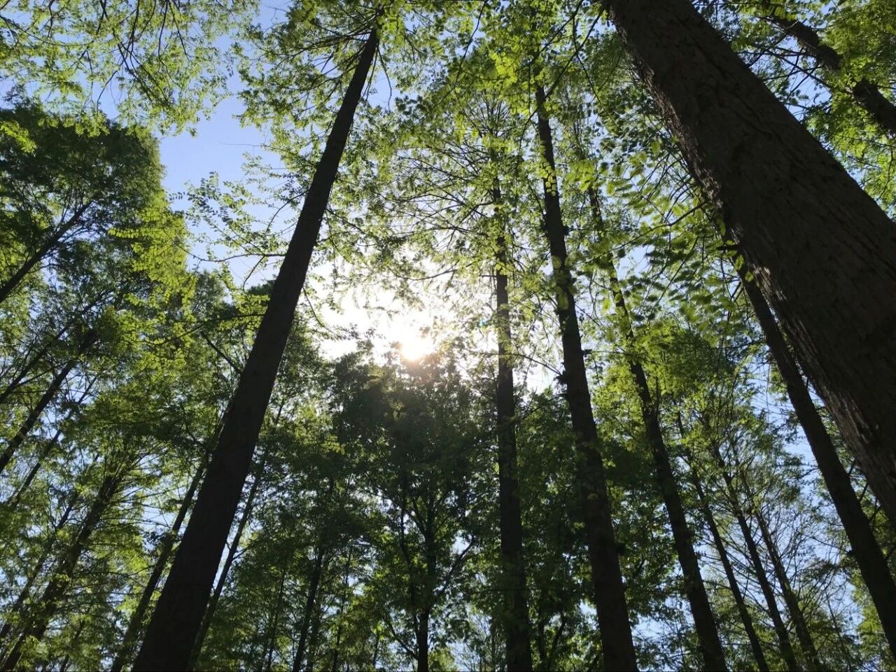 真正决定孩子学习成绩的，不是智商，而是时间管理（深度好文）