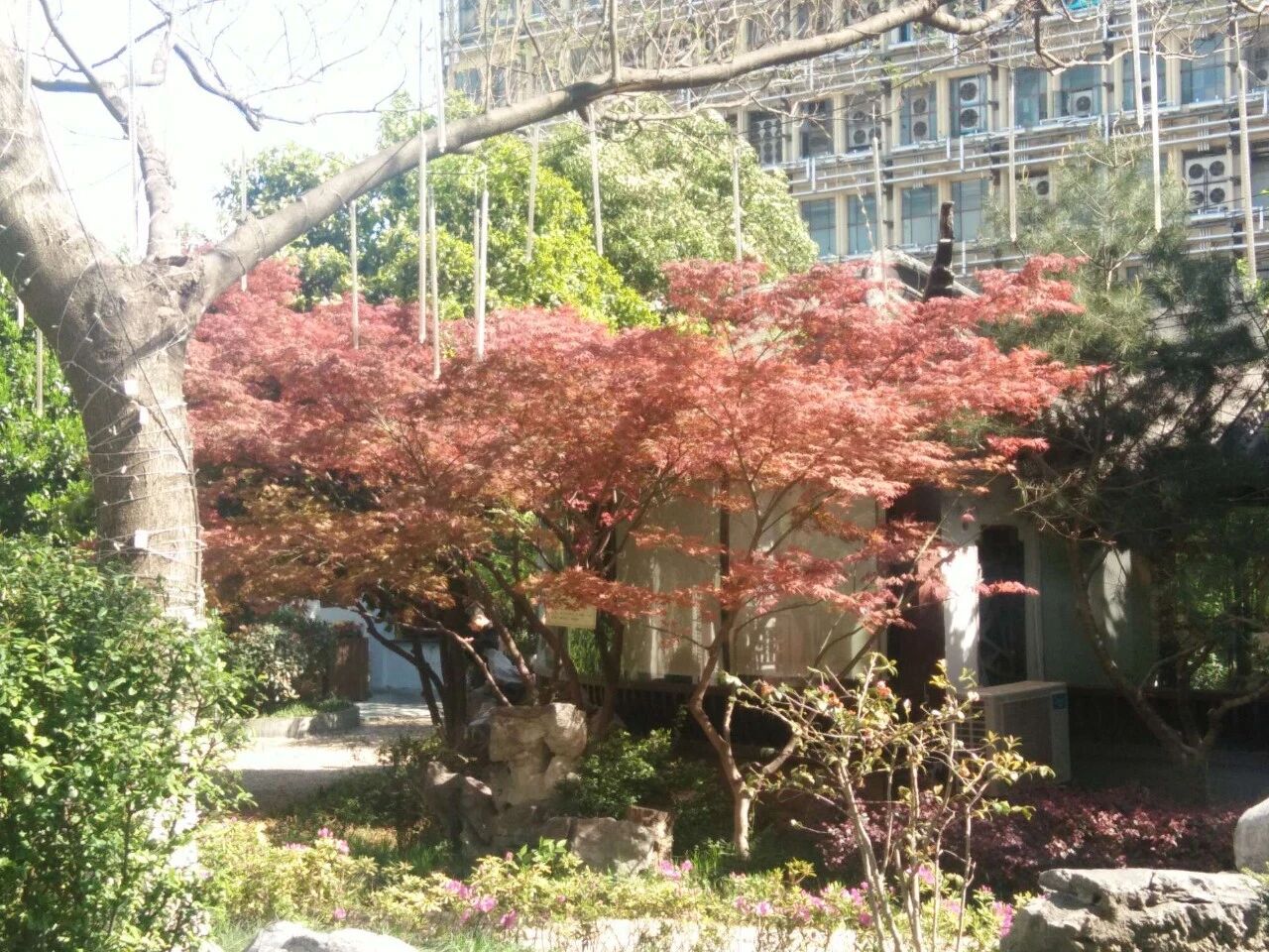 小学数学必考应用题解答思路解析，不分版本（附例题）