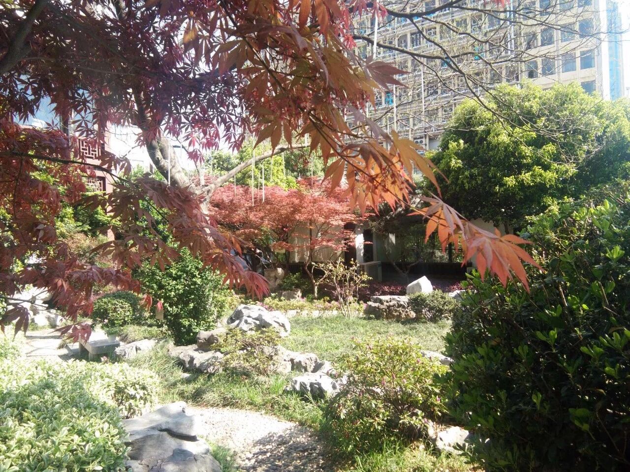 小学数学 | 最易混淆的15条基础概念，不要让孩子记错了！