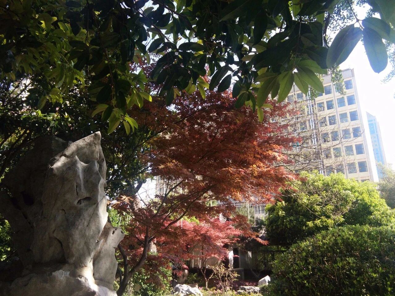 凑十法与破十法儿歌+例题讲解+练习，孩子计算更轻松！