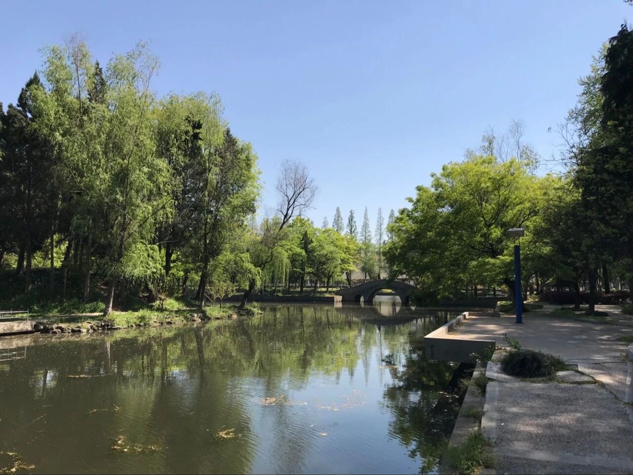 班主任总结：孩子写作业太慢，原因有7种，趁早改正太关键了！