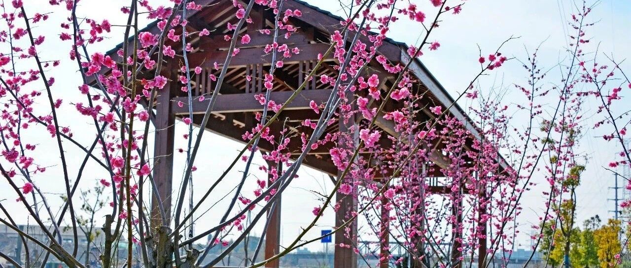 问题引领，让儿童学会深度思考