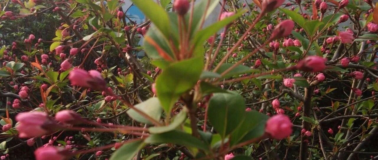 小学数学期末怎么复习？一线教师给孩子和家长的实用建议！