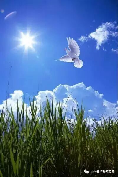 小学生最该在语文/数学学习上培养这些受益终生的能力！