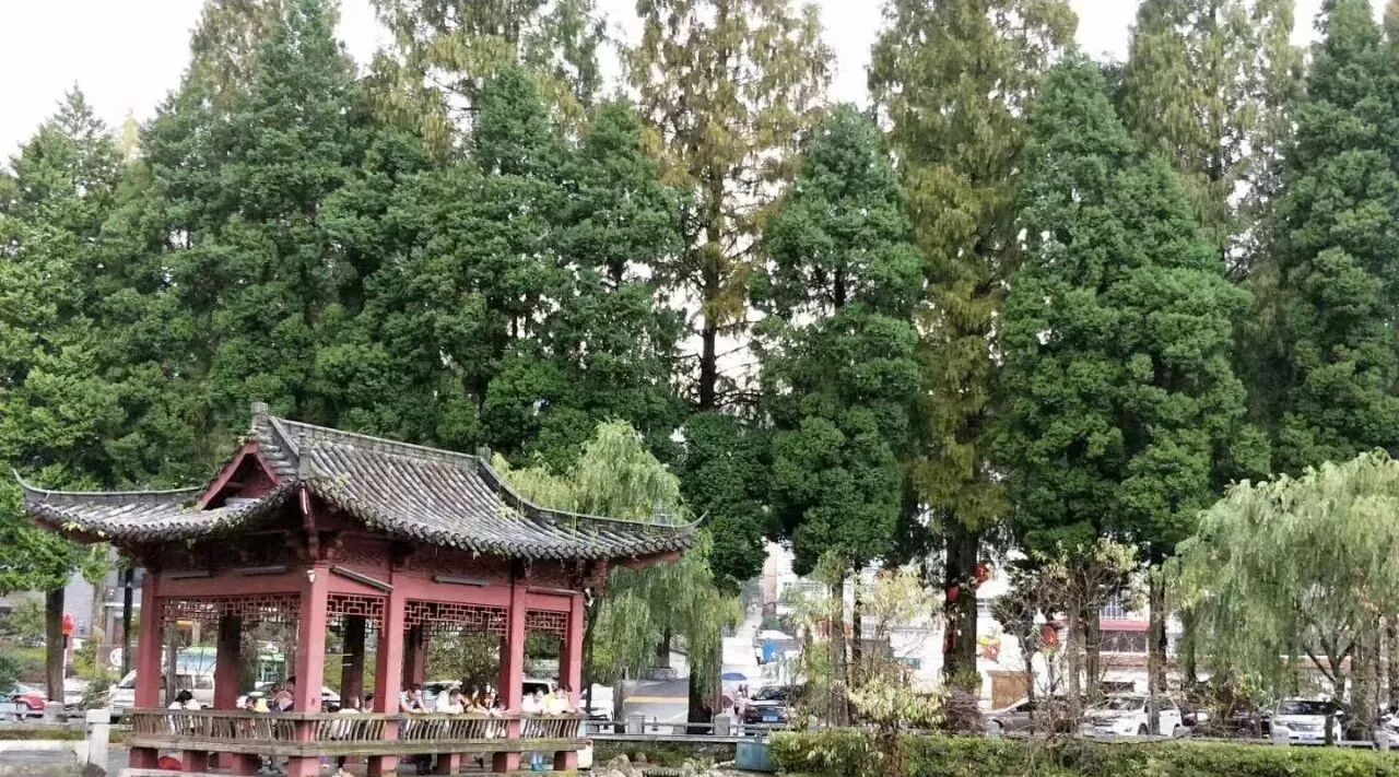 这9个拉低成绩的致命坏习惯，竟然有那么多孩子改不掉！