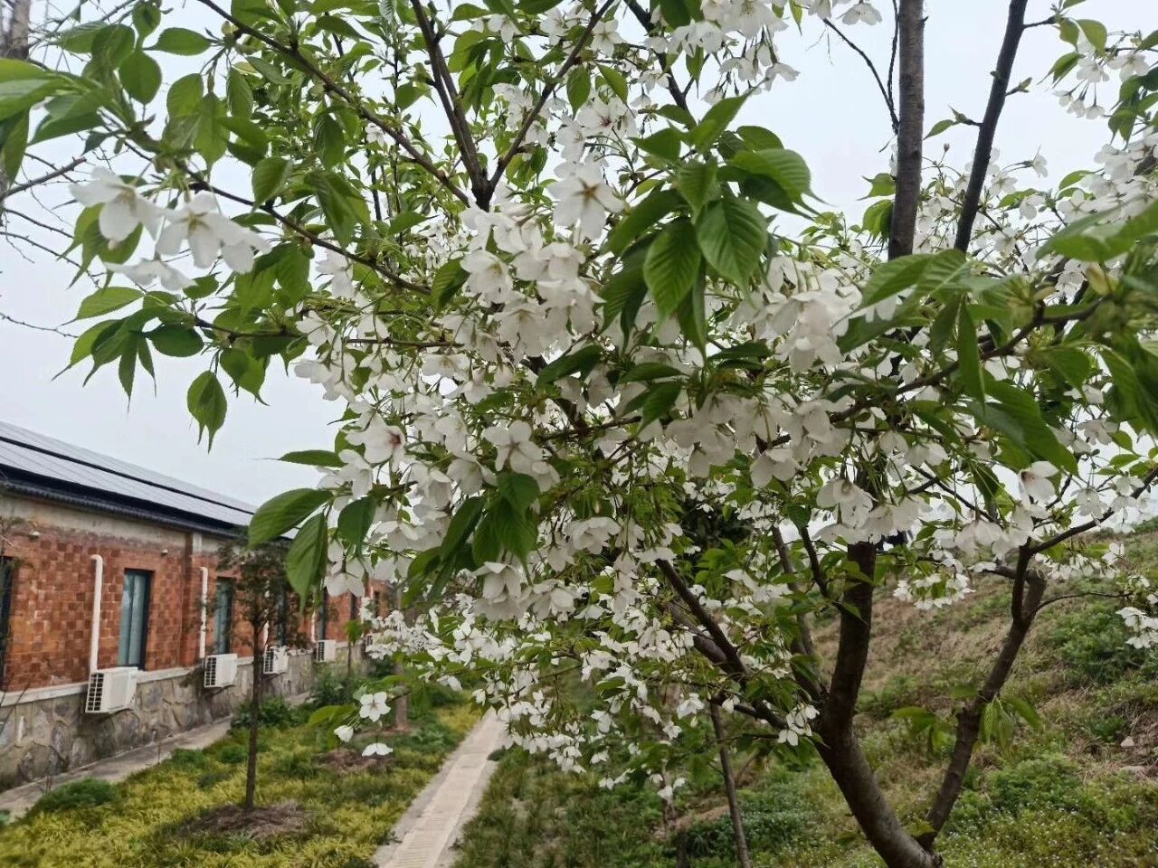 期中考试数学成绩好的学生，大多具备这六大法宝！