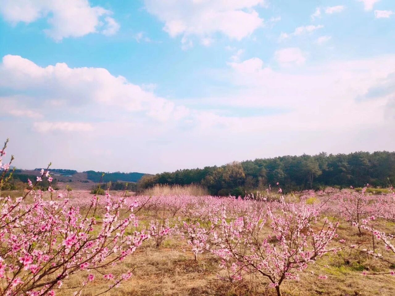 人民日报公布不合格家长行为自查表！为了孩子，家长都看一看！